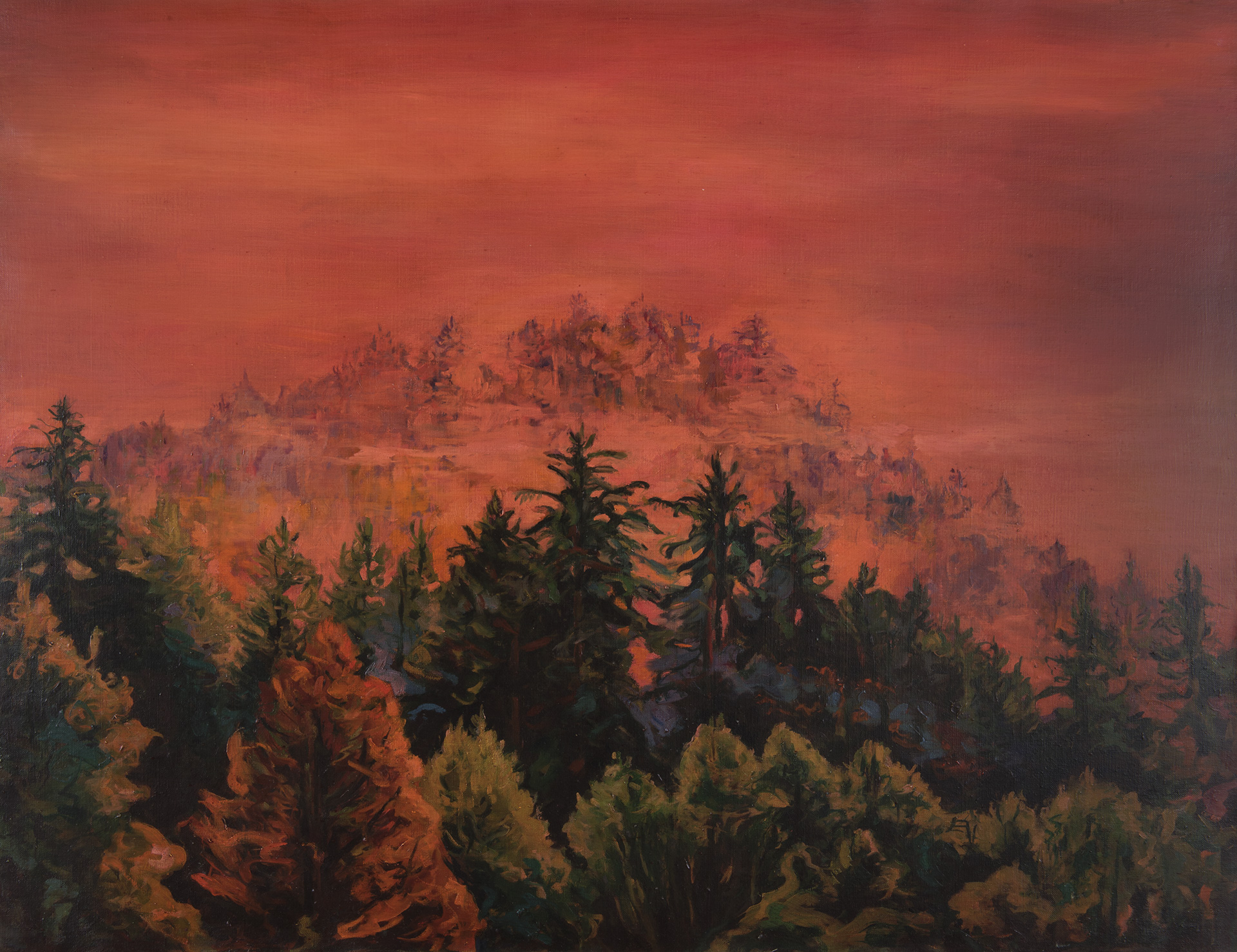 "Arbre °20" peinture à l'huile 100x130cm 
© 2025 Daniel Frank