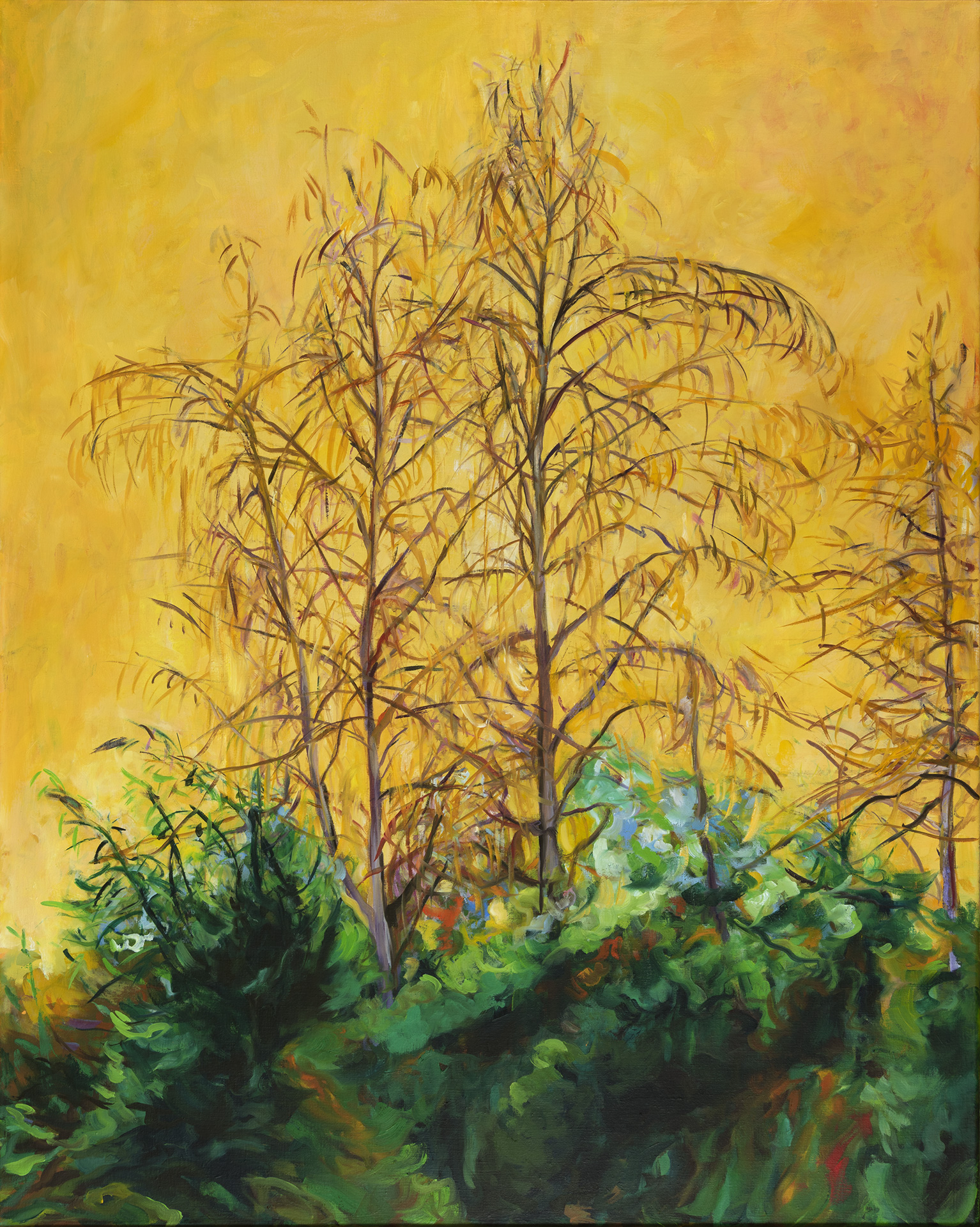 "Arbre °24" peinture à l'huile 100x80cm 
© 2025 Daniel Frank