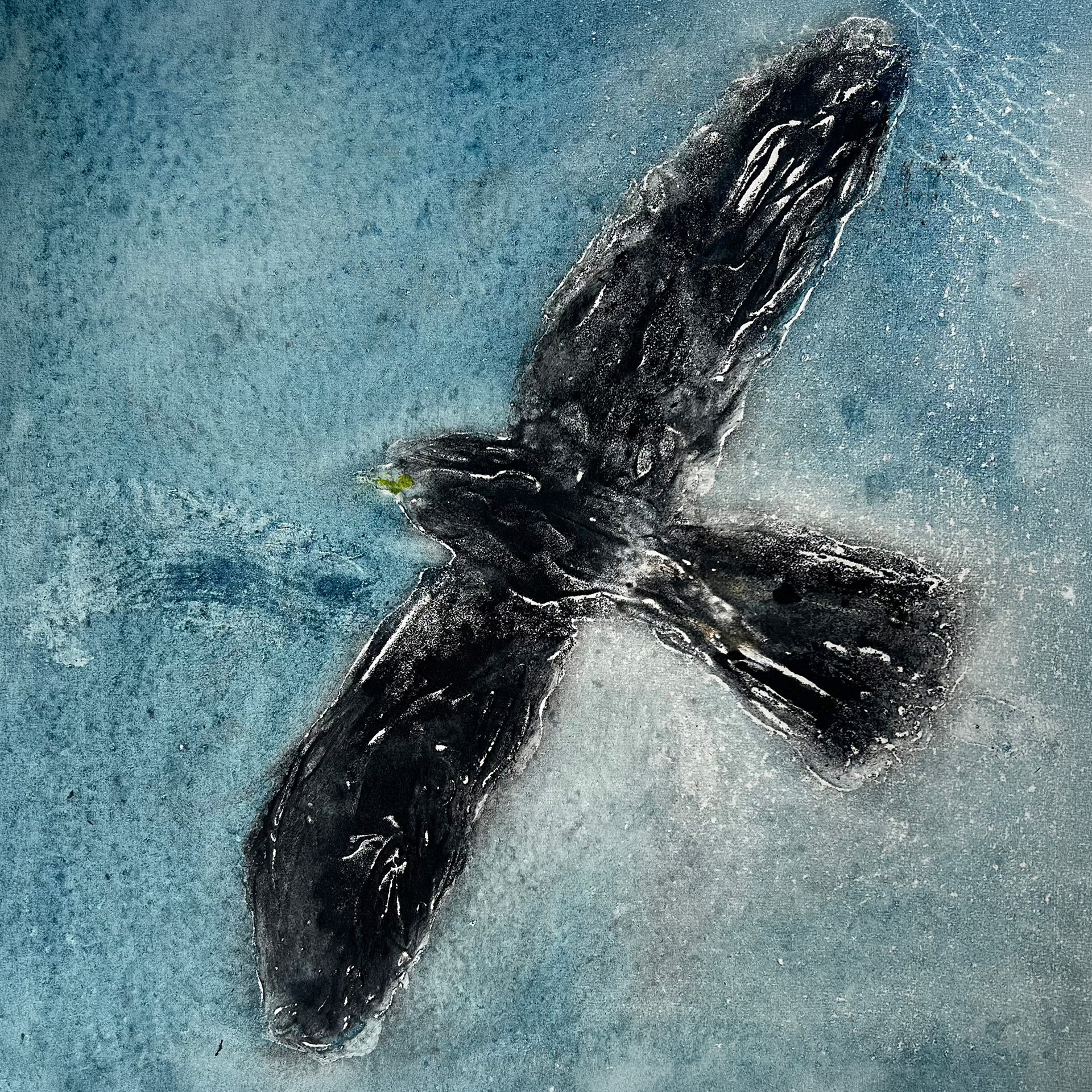"Chouca" Patricia Maisch, 36,6x36,6cm, Carborundum sur filtre à vin recyclé 