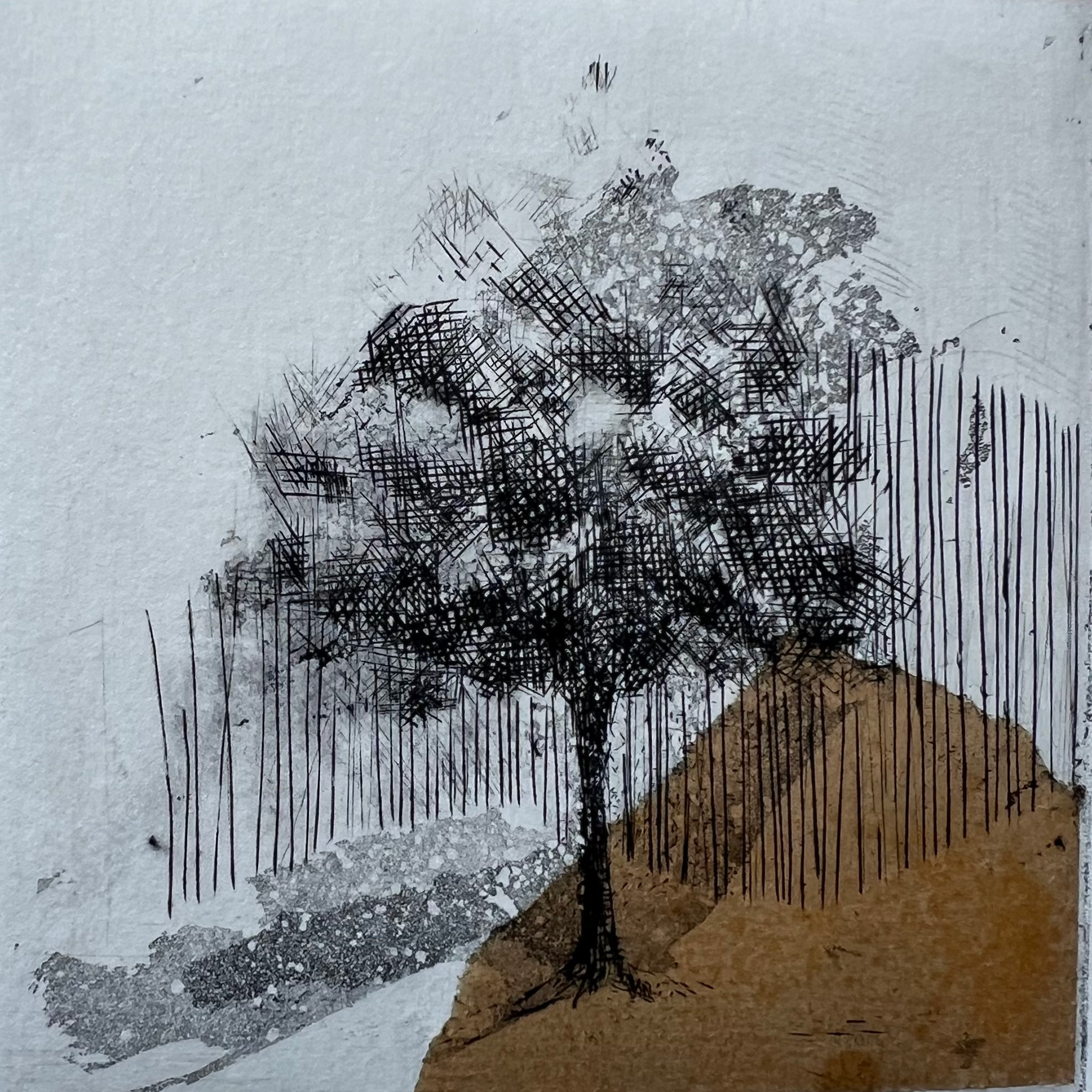 "Arbre" Patricia Maisch, 9,8x9,8cm, Burin et aquatinte sur cuivre, Impression avec papier Japonais teinté