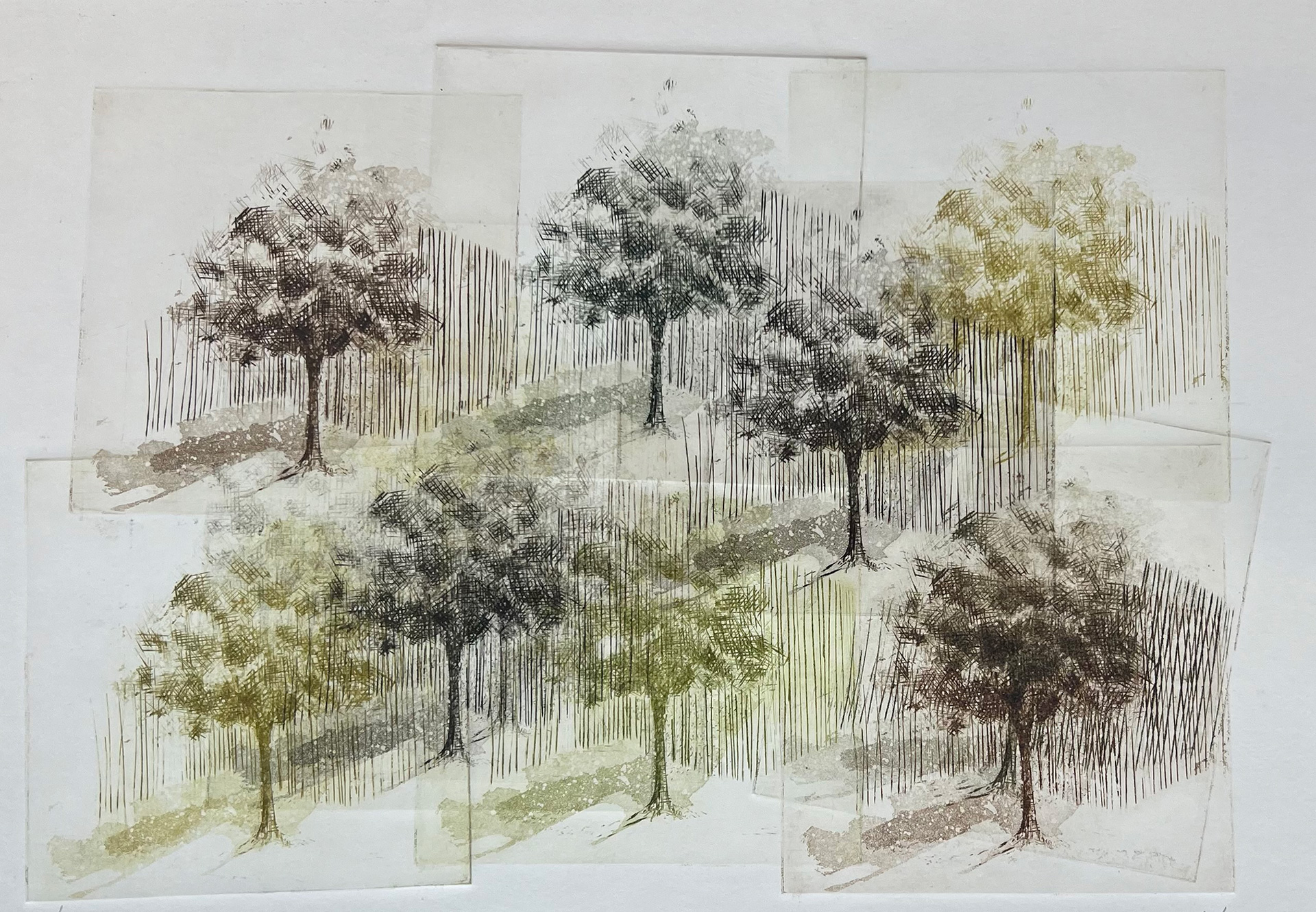 "Arbres" Patricia Maisch, 28x29cm, Burin et aquatinte sur cuivre, Impressions multiples
