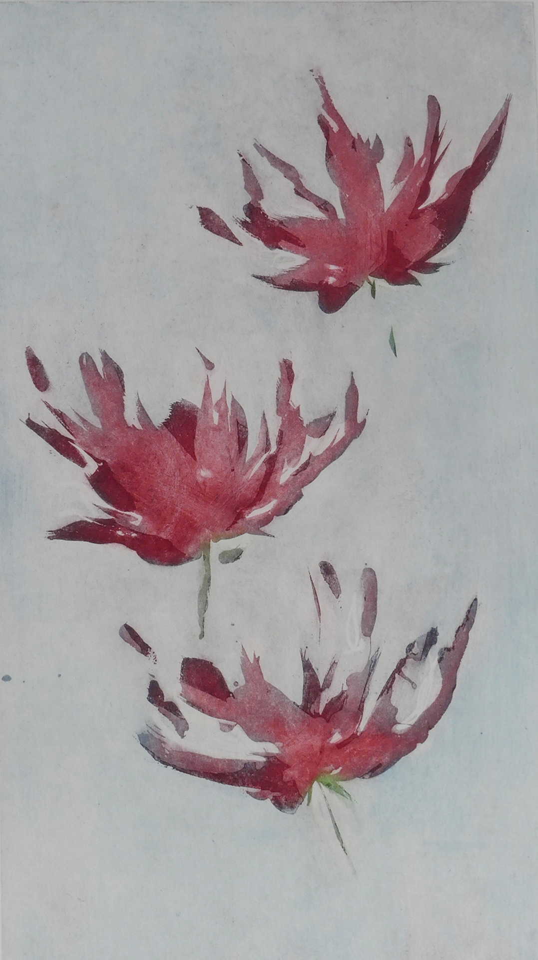 "Fleurs aux 600 noms" Patricia Maisch, 24,6x43,7cm, Vernis au sucre et aquatinte sur cuivre